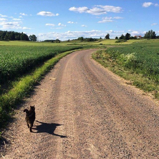 Klefstad Gard Linghem Bagian luar foto