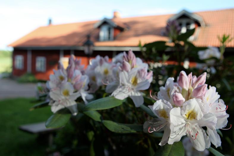 Klefstad Gard Linghem Bagian luar foto